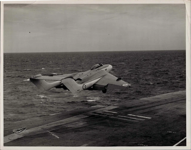 Sea Vixen Prototype Wg240 Large Original Vintage Press Photo Dh110 Royal Navy 10