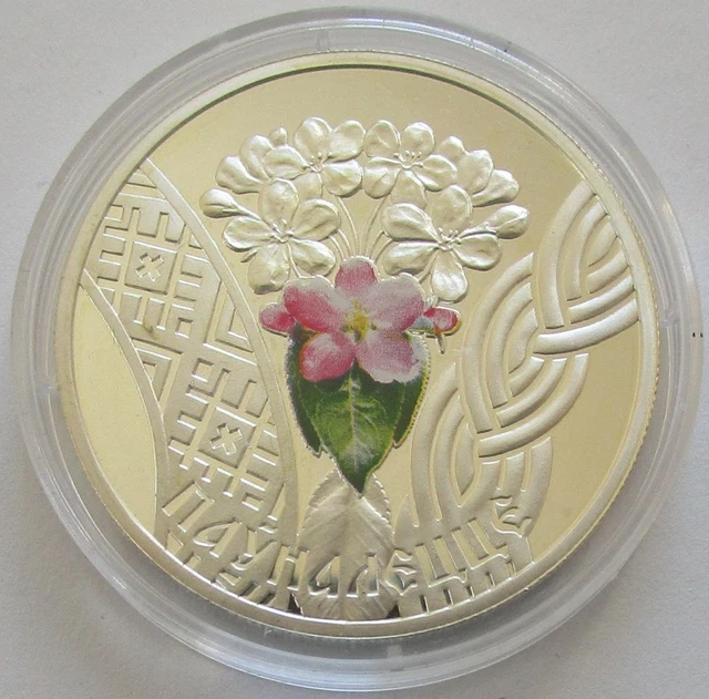 Belarus 20 Roubles 2010 Slavs' Family Traditions Maturity 1 Oz Silver