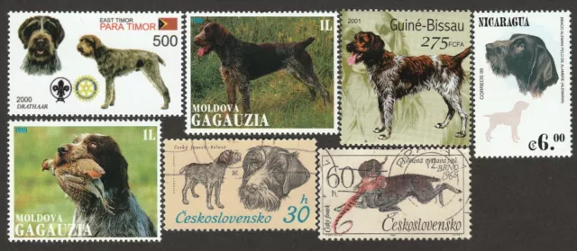 GERMAN WIREHAIRED POINTER ** Int'l Dog Stamp Art Collection **Great Gift Idea**
