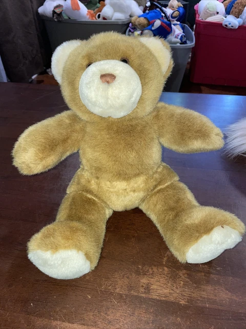 Brown Bear Plush hugs and good wishes 13” Build a Bear Stuffed Animal