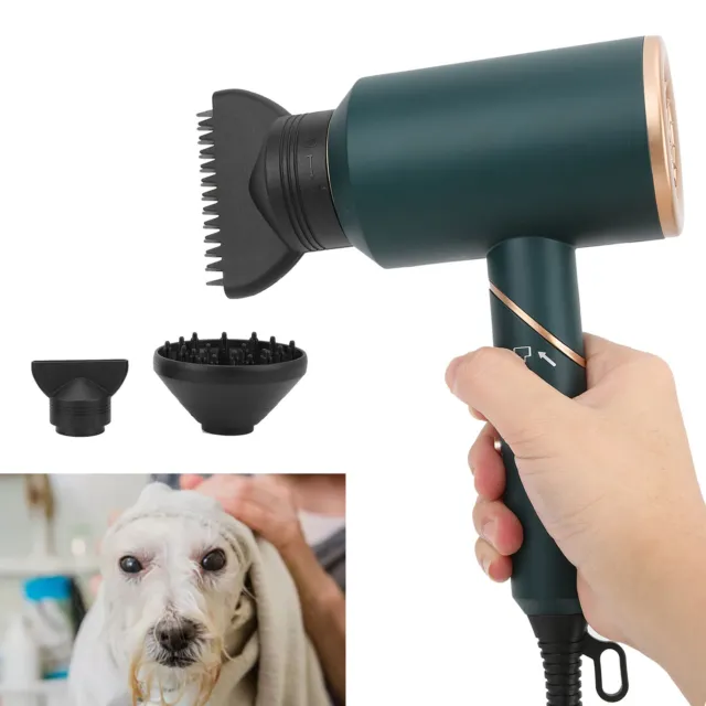 Asciugacapelli per animali domestici soffiatore elettrico portatile per gatti cani conigli H Gfl