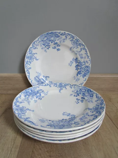 6 Assiettes plates anciennes  Saint Amand & Hamage modèle Campanule Bleu