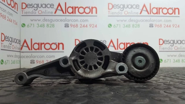 411254 Tendeur De Courroie Auxiliaire Pour Volkswagen Golf V Berlina (1K1) | 03G
