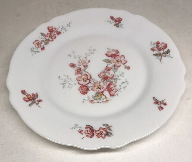Lot103 : 6 Petites Assiettes Plates Arcopal France D 19,8 Cm
