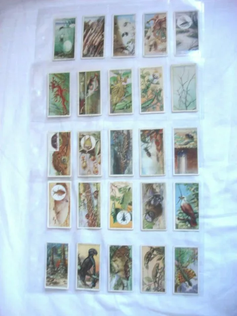 Lambert & Butler Cigarette Card Set - Wonders Of Nature 1924 - Set Of 25. Ex/Con