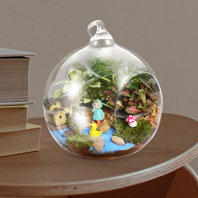 Portacandele Sospesi In Vetro - 24 Pezzi Globo 8cm | Per Terrari E Decorazioni - Foto 10