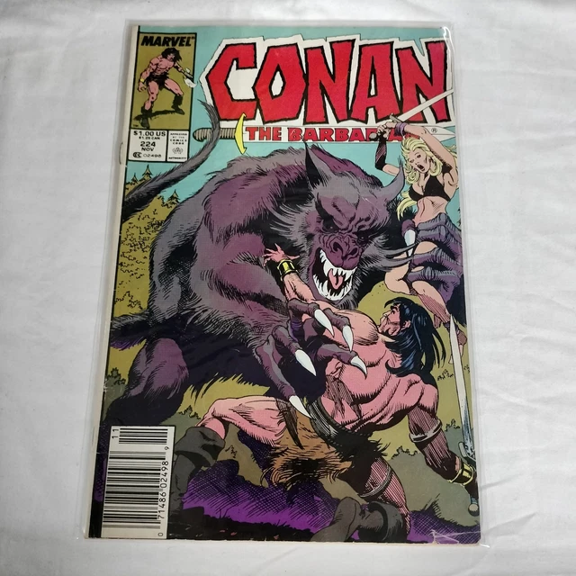 Conan the Barbarian (1970 Series) Conan the Barbarian #224 (Newsstand) issue ...