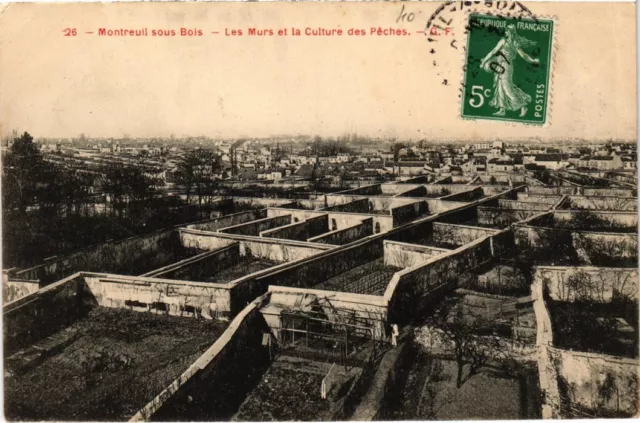 CPA MONTREUIL-sous-BOIS Les Murs et la Culture des Peches (1353177)