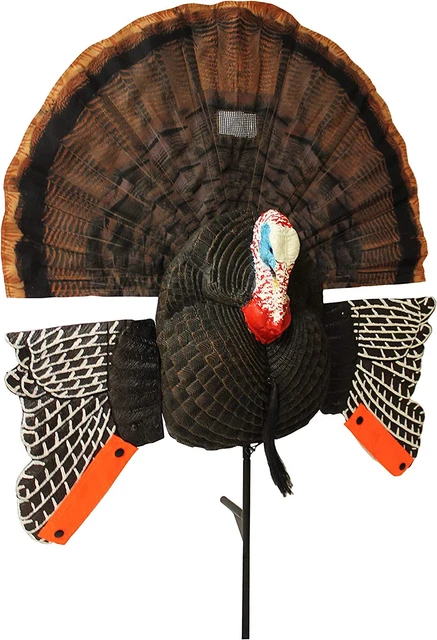 MOJO Scoot-N-Shoot MAX Tom Turkey Hunting Decoy with Realistic Fan