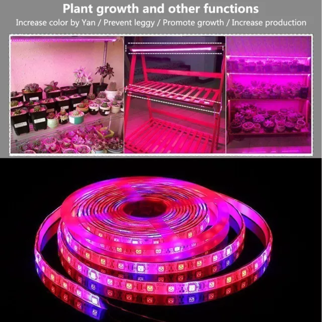 5M 12V 5050 300 LED Grow Light Strip Waterproof Full Spectrum Indoor Plant Lamp