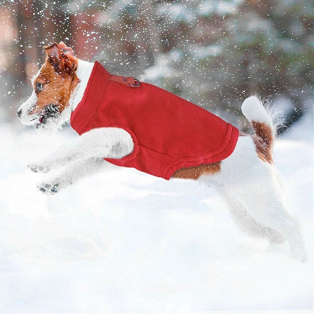 di gatto Cappotto per animali domestici Abiti invernali Giacca per cani 4