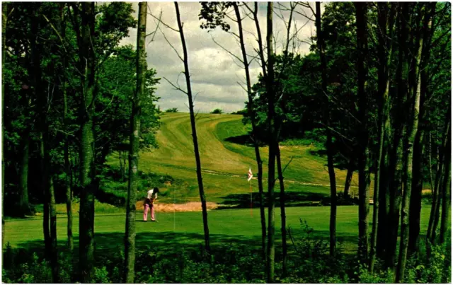Golfer Putting on Green Cross Creek Resort Titusville Pennsylvania 1960 Postcard