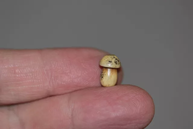 Japanese Antique Netsuke Ojime Bead Button Mushroom