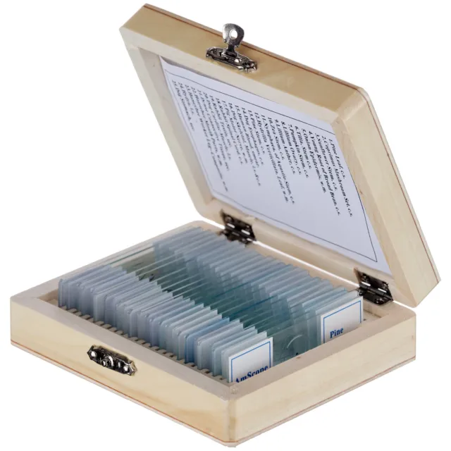 AmScope 25 Prepared Microscope Slides Glass with Wooden Box