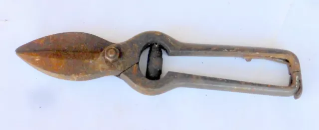 original alte kleine Astschere Schere Gärtner Gartenschere Eisen Werkzeug Garten