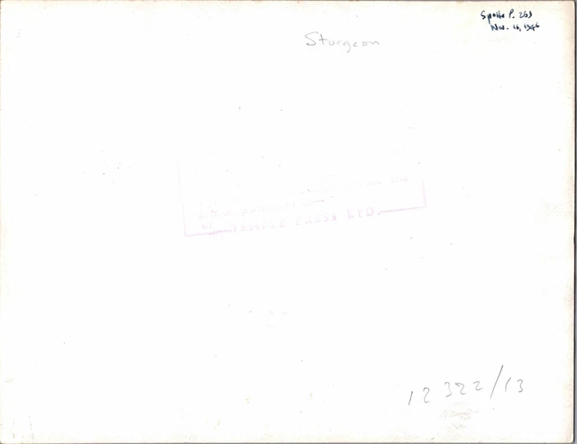 Short Sturgeon Prototype Rk787 Large Vintage Original Press Photo 10 2