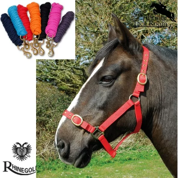 Rhinegold Nylon Headcollar & Luxe Lead Rope  5 sizes  8 colours  Adjustable