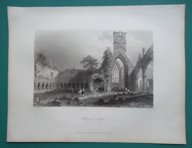IRELAND Abbey of Sligo Dominican Friary from 1416 - 1841 BARTLETT Antique Print