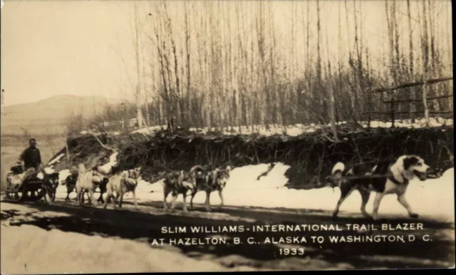 Dog Sled Team Husky Hazleton British Columbia Slim Williams RPPC Postcard