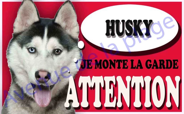 Plaque Humour "Attention Au Chien" Husky - Aluminium 15x20 Cm, Décoration Extérieure Ou Intérieure, Personnalisable