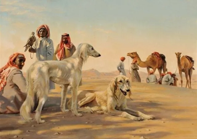 Saluki  Charming Dog Greetings Note Card, Dogs In Desert Scene