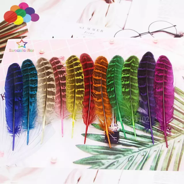 11 color Beautiful Natural Hen Pheasant Wing Feathers plumas faisan colores view