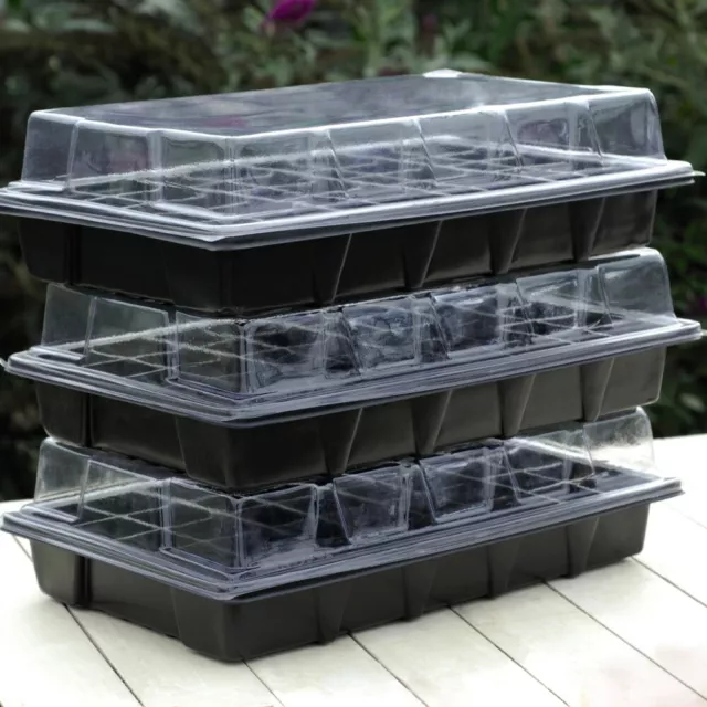 T&M Seed Growing Tray Propagator Kit Starter 3 Trays With 40 Cells Easy Growth