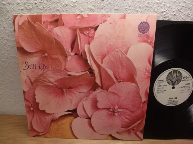 Still Life – Still Life same Lp mint- 1971 megarare Vertigo Swirl prog Monster