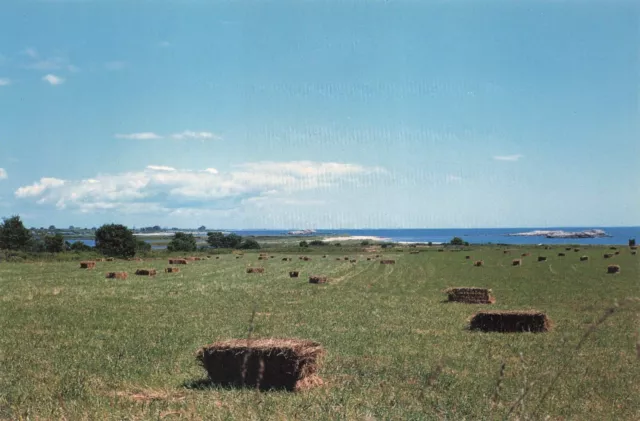 Postcard RI Little Compton Newport County Coastal Shore Warren's Point from 1953