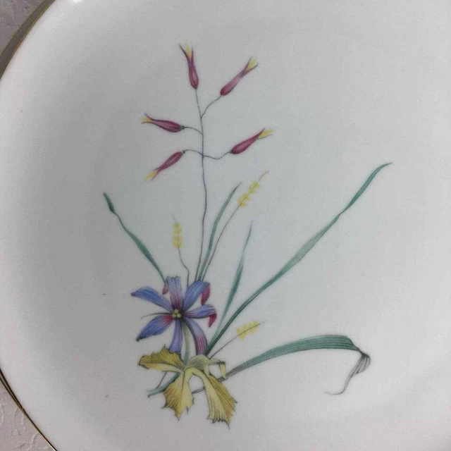 Vintage 4 Eschenbach China 10 1/4" Dinner Plates Pattern W1458