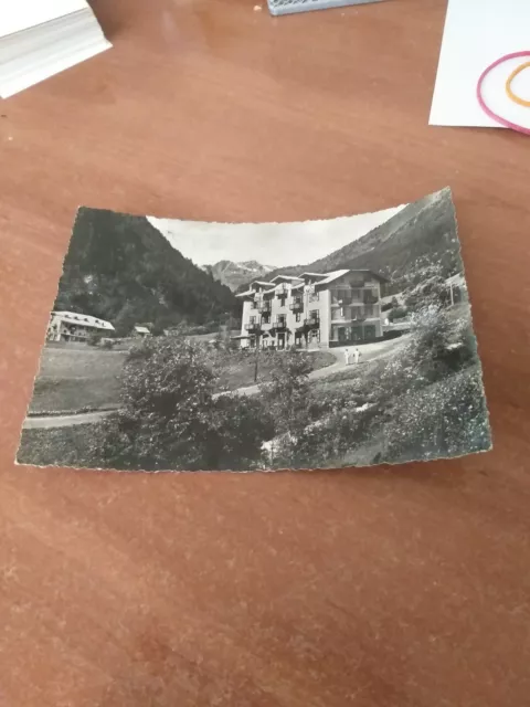 Cartolina Antica Fonte Pejo Vg 1949