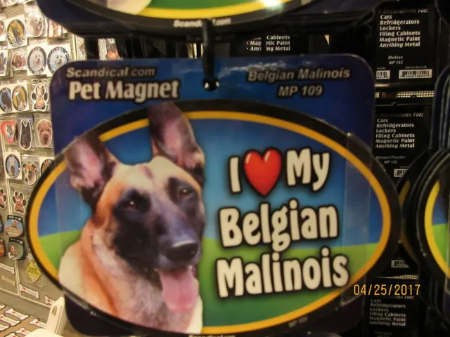 I Love My Belgian Malinois 6 inch oval magnet for car or anything metal  New