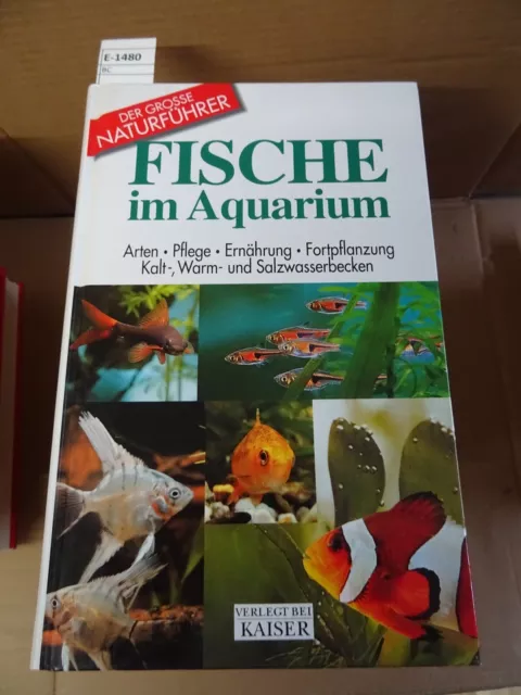 Fische im Aquarium Arten Pflege Ernährung Fortpflanzung kalt warm und Salzwasser