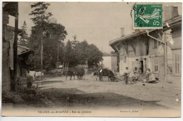 VILLERS EN ARGONNE - Marne - CPA 51 - des vaches dans la rue de Chalons