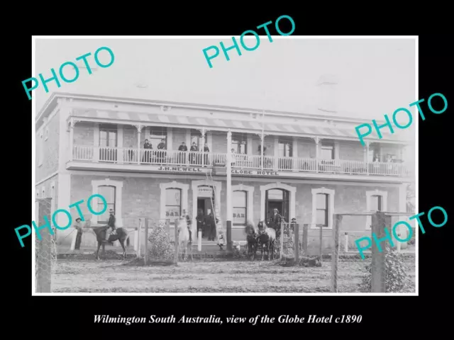 OLD 8x6 HISTORIC PHOTO OF WILMINGTON SOUTH AUSTRALIA THE GLOBE HOTEL c1890