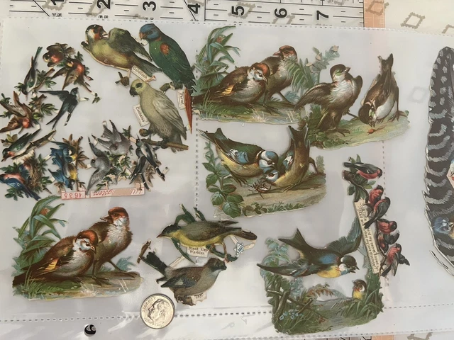 Chatarra vintage troquelada de aves