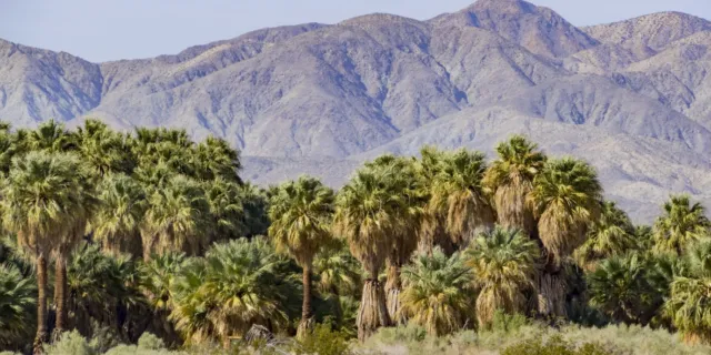10 ACRE Property in Coachella and Palm Springs Area - Imperial County, CA