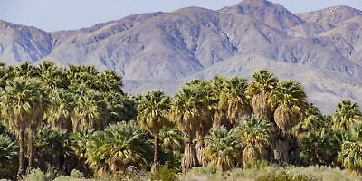 5 ACRE Property in Coachella and Palm Springs Area - Imperial County, California