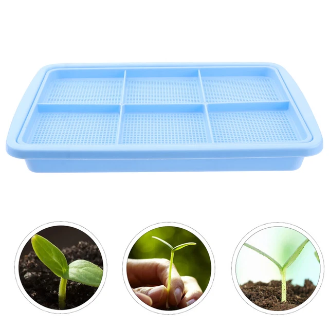 Serra Propagazione Schramm - Vassoio 20,5x15,5x11cm Per 12 Vasi, Ideale Per Piantine - Foto 3