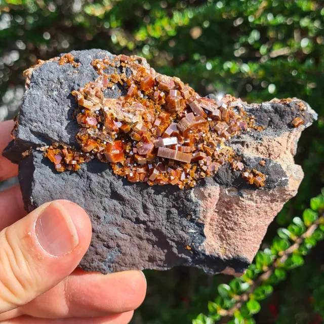 🔥Video🔥Top Vanadinit Kristalle auf Dolomit 9x7x3,5cm Mibladen Marokko