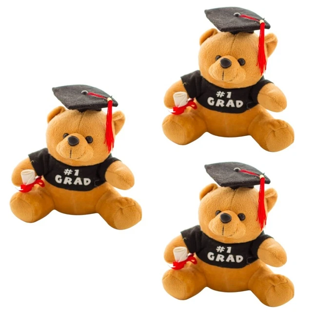 Cane Da Laurea Con Autografo, Regalo Di Laurea Per Studenti - Foto 10