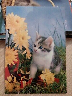 Carte Postale Chat CPM 