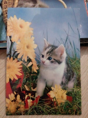 Cpa Cpsm Cpm Chats Chaton Avec Fleurs Vintage Carte Postale Eur 3 00 Picclick Fr Cpa Cpsm Cpm Chats Chaton Avec Fleurs Vintage Carte Postale Eur 3 00 Picclick Fr