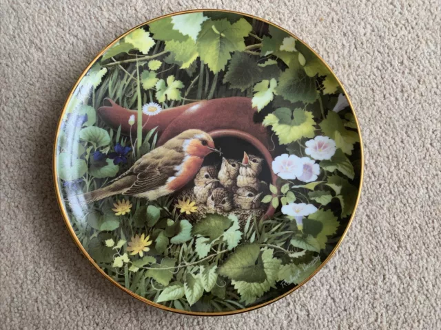 Danbury Mint Collectable Plate,Robins Afternoon Tea Hidden Treasures Series