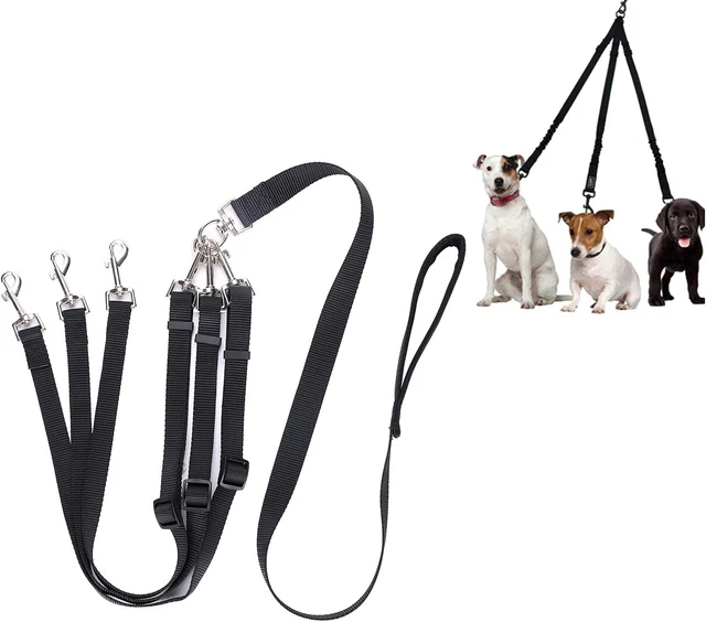 3 Perro Plomo Desmontable 3 Vías Perro Correa Perro Divisor de Plomo Mascota Triple Acoplador de Plomo
