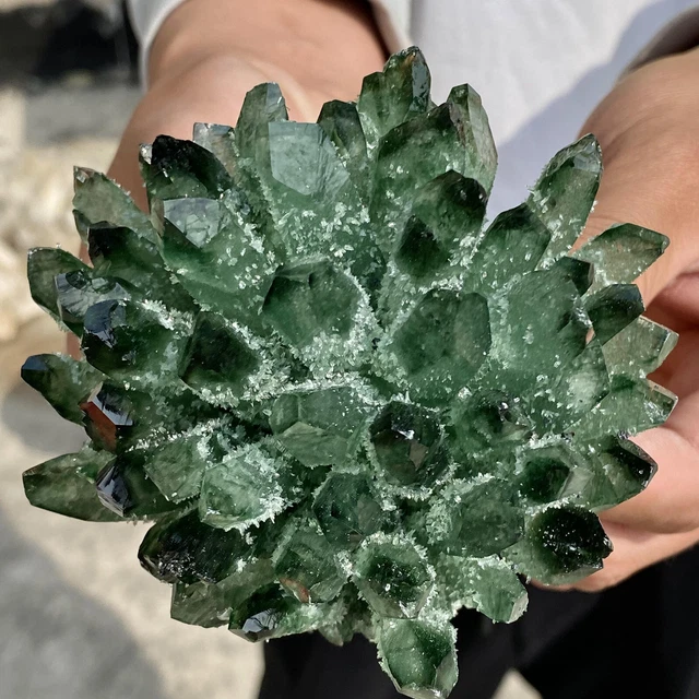 1.30LB New Find Green Phantom Quartz Crystal Cluster Mineral Specimen Healing 7