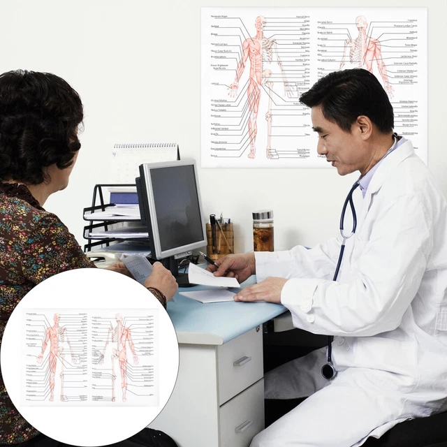 POSTER HUMAN BODY Posters Wall Chart Anatomy Physiology Draw Core 612 Biology Diagrams