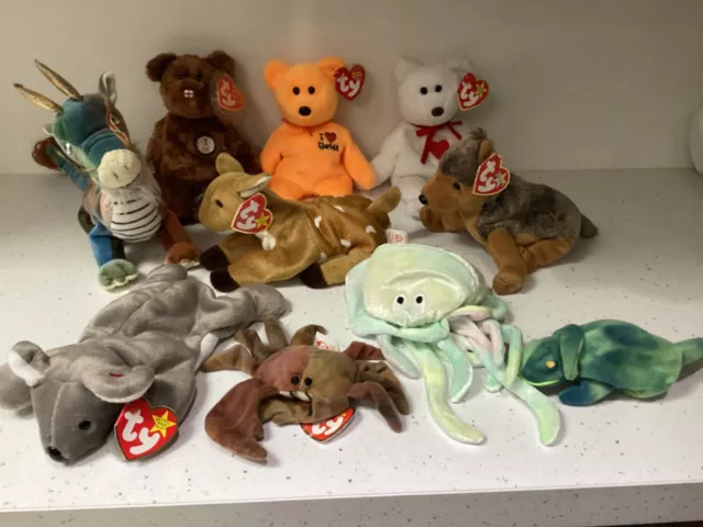 Ty Buddies Konvolut Drache Koala Qualle & Valentino Beanie Baby Bär Tag Fehler