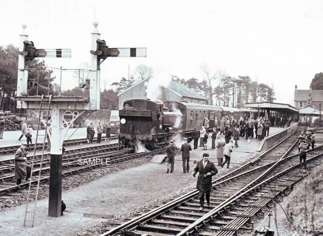 SIDMOUTH RAILWAY STATION, DEVON. 1964 Loco; 4666 PHOTO 12 x 8 (A4)