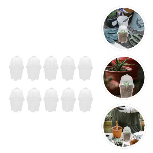 10 Sets Blumentöpfe Pflanzen Kleiner Kaktus Mini-Vase Plastikschale